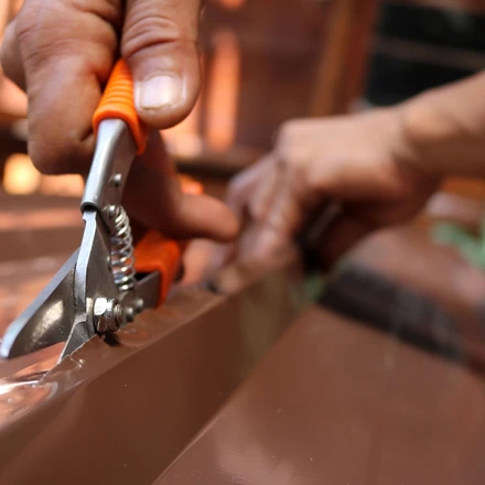 shutterstock_523501702